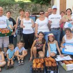distribution des brioches
